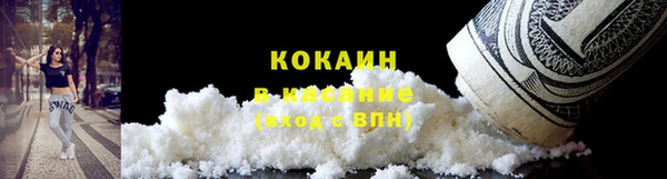 шишки Касимов
