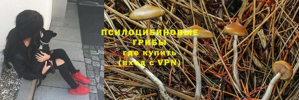 первитин Карпинск