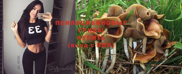 шишки Касимов