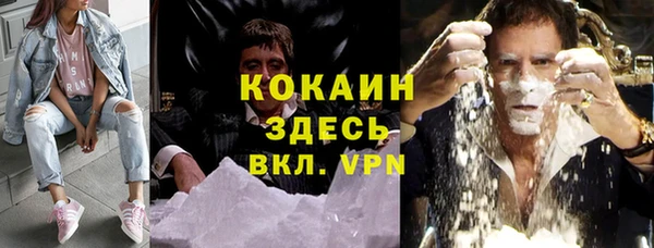 шишки Касимов