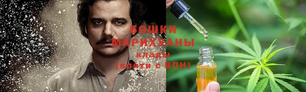 шишки Касимов